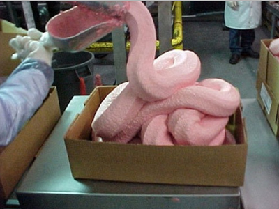 The Real Story Behind Chicken Nuggets…